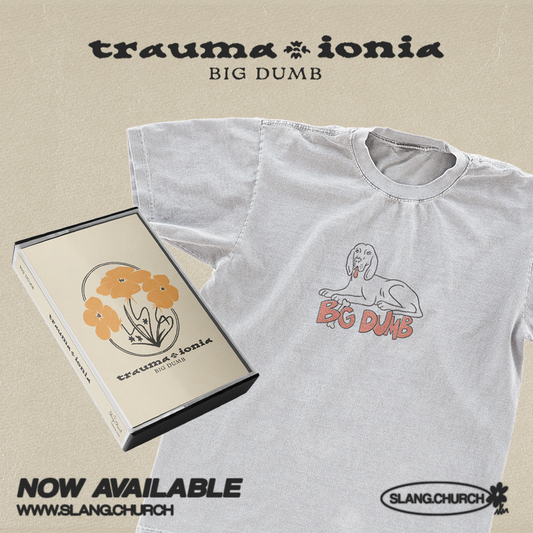 big dumb ~ "trauma ionia" bundle
